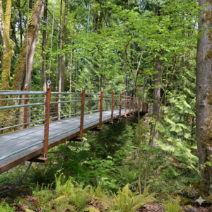 image of Bellevue Botanical Garden bridge