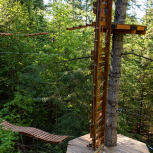 image of bellevue zip tour course in the trees