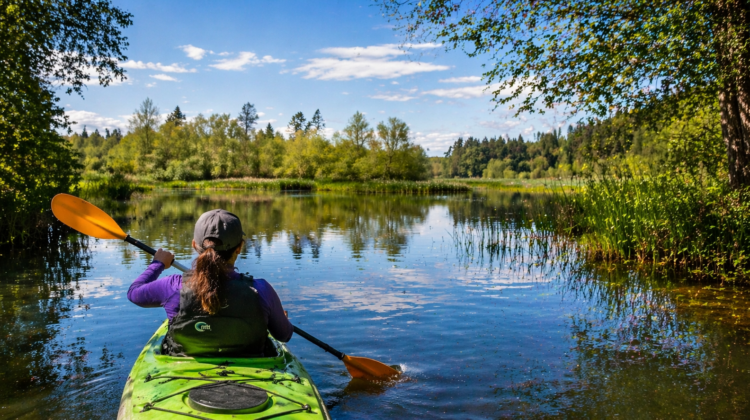 eastside kayaking in the mercer slough. Where to launch your kayak on the Eastside.