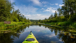 a picture of a kayak in the mercer slough as part of eastside kayaking.